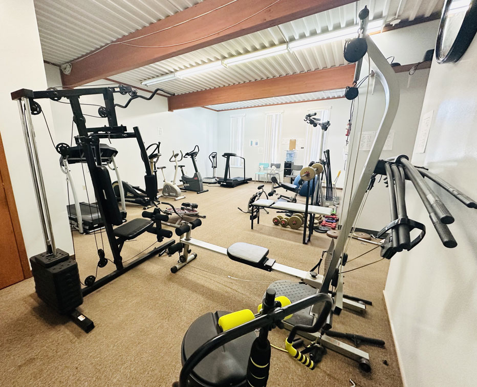 Mini Gym1